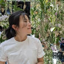 Un poema descriptivo sobre un lago en el ocaso