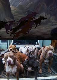 Check spelling or type a new query. Hunter Dogs Basis By Sirjosh9 On Deviantart