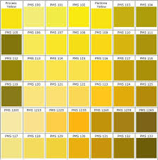 Nuancier Pantone Jaune 1 Palette De Couleur Peinture Nuancier Nuancier Pantone