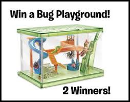 Since 2004, smartlab toys steam products have earned more than 50 of the toy industrys most prestigious awards, including multiple oppenheim platinum awards, good housekeeping best toy awards, and family fun magazine toy of the year awards. Smartlab Toys Trivia Wednesday Bug Playground Toy 5 08 Playground Toys Spring Theme Preschool Playground