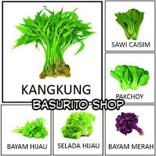 Bahkan, paragraf yang baik juga menentukan seberapa bagus tulisan seseorang. Jual Paket 6 Jenis Benih Biji Bibit Sayuran Daun Di Lapak Basurito Shop Bukalapak