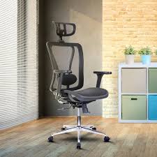 Sebastiao High Back Executive Mesh Office Chair With Arms Headrest And Lumbar Support Black Mesh Office Chair Mesh Office Chair Black Office Chair