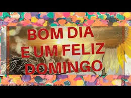 We did not find results for: Mensagem De Bom Dia Feliz Domingo Para Voce Com Imagens E Frases De Feliz Domingo Video Mensagem De Aniversario