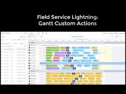 custom gantt actions field service lightning