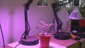 24 watt advance spectrum led grow light panel (quad band) brand: Testing The Kyson 24 Watt Led Grow Light Youtube