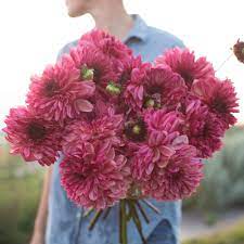 Inside the part of the flower that has petals are the parts which produce pollen and seeds. Pin On Florals