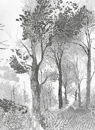 Beautiful Black And White Drawings Of Nature Tree Drawing Woodland Print Forest Tree Art Print Beautiful Pencil Illustration Nature Art Black White Nordic Art Scandinavian Art Tree Drawing Tree Art Forest Drawing