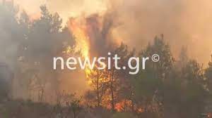 Jun 02, 2021 · φωτιά έχει ξεσπάσει σε δασική έκταση στα μέγαρα αττικής. Fwtia Sta Megara Maxh Me Tis Synexeis Anazwpyrwseis