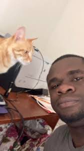 Hi, My name is Meewaan! This is my second year of Christmas and I am happy  to meet new friends. I love my owners and their socks. My owners spoil me  like