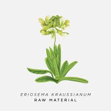 Image result for Eriosema