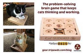 Check spelling or type a new query. The Cat Brain Game Puzzle For Tripawds And Quadpawds