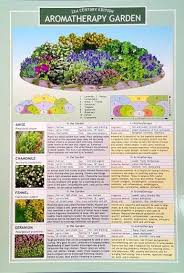 Aromatherapy Garden Chart Country Garden Landscaping Plants Garden Planning
