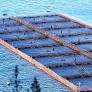 La guerra submarina de la industria salmonera contra los pueblos originarios y defensores de la naturaleza en Chile