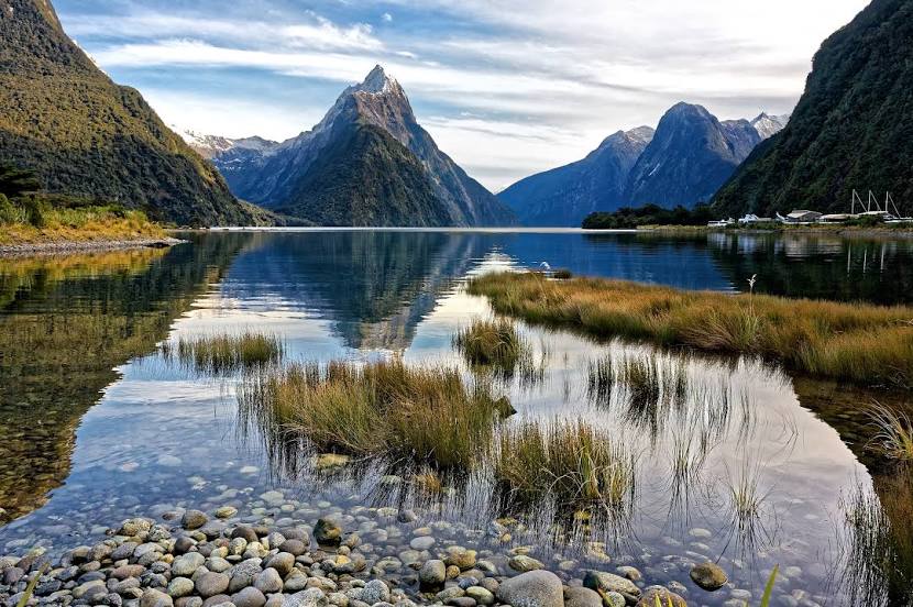 New Zealand Digital Marketing Company