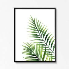 We did not find results for: Watercolour Leaves Palm Branch Watercolour Tropical Plant Etsy In 2021 Watercolor Leaves Plant Painting Botanical Painting
