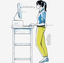 We're chair snobs because most chairs stink, and it matters. The Ergonomics Of Your New Home Office Scoop