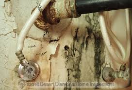 preventing water damage from plumbing leaks