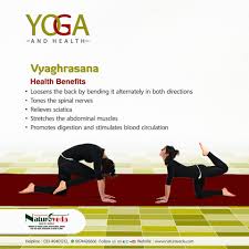 Vyaghrasana Yoga Facts Yoga Asanas Names Yoga Sutras