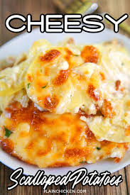 Cheesy Scalloped Potatoes In 2020 Scalloped Potatoes Cheesy Scalloped Potatoes Recipes