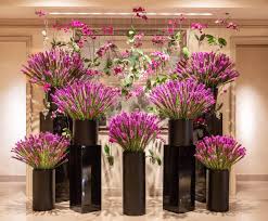 We did not find results for: Four Seasons La On Twitter Purple Power By Our Amazing Artistic Director Jeffleatham Fourseasonsla Jeffleatham Fourseasons Spring Flowers Https T Co Ox1bbdebky