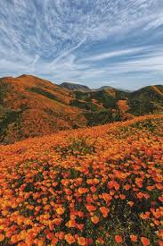 Pinterest Catherinezhook Nature Aesthetic Nature Photography Scenery