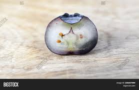 One Ripe Blueberry Image Photo Free Trial Bigstock