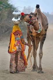 The controversial camel jockeys have enjoyed dates with camel milk butter, an diwaniya where sheikh duaij ibrahim under the aegis of the late emir sheikh on saturday. Karen Kwrart Profile Pinterest