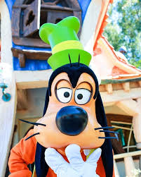 今日は何の日 グーフィー のお誕生日です teddy bear cartoon disney magic disney wall