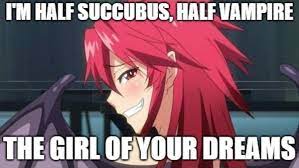 I M Half Succubus Half Vampire The Girl Of Your Dreams Itadaki Seieki Meme Anime Manga Know Your Meme