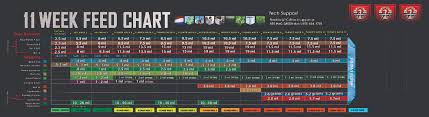 Feed Charts House Garden Npk Technology Hydroponics