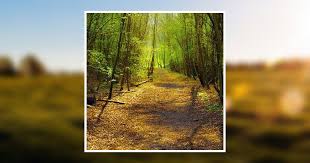 Robert W. Lanham Obituary March 31, 2014