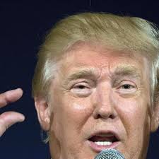 Donald Trump falls short