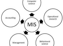 What Is Management Information System Mis Management Information Systems Management Learn Accounting