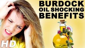 Burdock has a positive effect on hair structure, resulting in scales more closely attached to the rod. Burdock Oil For Hair Growth Burdock Root Benefits For Soft Hair Youtube