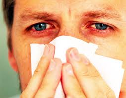 Check spelling or type a new query. Les Allergies Saisonnieres Et Leur Impact Sur Vos Yeux Association Des Optometristes Du Quebec