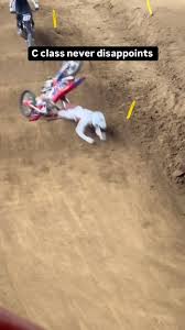 Conner Slowie（@slowie_films）• Instagram 相片與影片