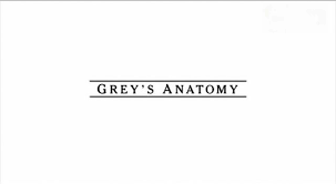 Grey's anatomy is a primetime medical drama that follows the lives of surgeons in the fictional grey sloan memorial hospital, located in seattle. Zitat Freundschaft Grey S Anatomy Weisheiten Und Zitate