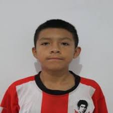 VICTOR ARMANDO FARJE