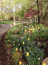 Spring At Green Bay Botanical Garden Botanical Gardens Garden Plants
