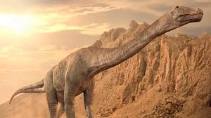 As the largest animal to roam the earth, you'd think such an impressive presence would be almost. 0x5vshmlpvnacm