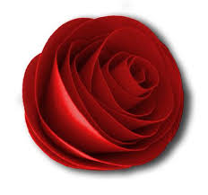 Download 3d Paper Rose Cup700809 671 Craftsuprint