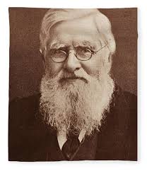 Alfred Russel Wallace, Welsh Naturalist #2 Fleece Blanket