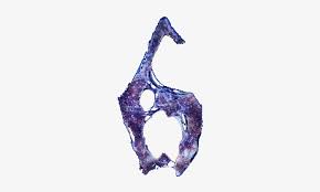 Re 6 Diseno Numero 6 Resident Evil 6 Free Transparent Png Download Pngkey