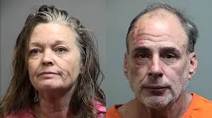 Pawleys Island woman accused of taking deputy's Taser, point it at deputy  during struggle; man also arrested