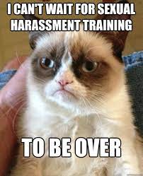I Can T Wait For Sexual Harassment Training To Be Over Grumpy Cat Quickmeme