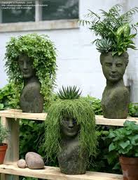 An Entry From Emilialua Plants Garden Art Garden Planters