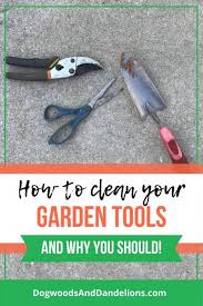 We did not find results for: How To Clean Your Garden Tools Dogwoods Dandelions