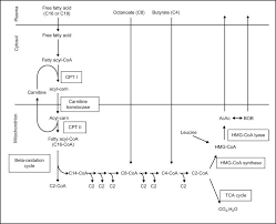 Image result for MCAD Deficiency