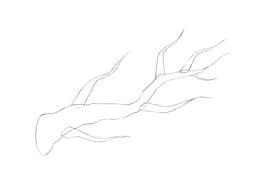 We use oil pastels to color our trees, but you can use a. How To Draw A Tree