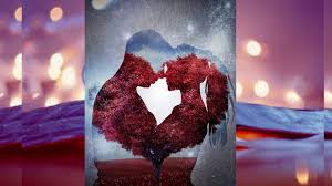 Hic Asik Oldunuz Mu Sizce Ask Nedir Kalbinizin Nefesinizi Kesercesine Hizla Atmasi Bedeninizin Mevsim Degisikliklerine Aldirmadan Terlem Ask Asik Dusunceler